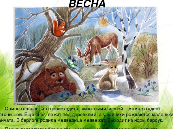 Звери весной для дошкольников