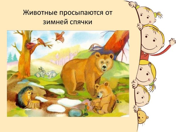 Звери просыпаются весной