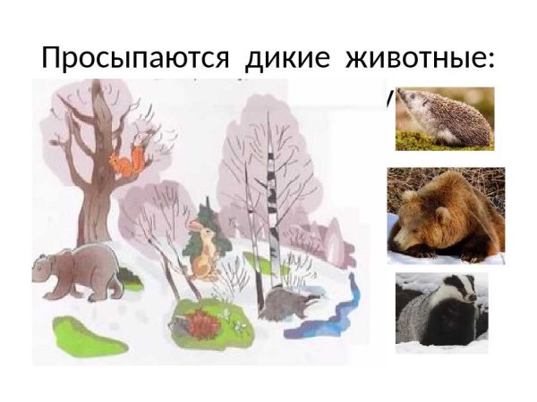 Жизнь животных весной для детей