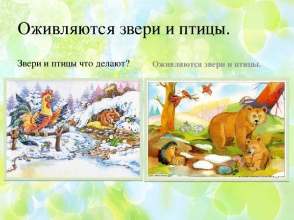 Тема животные весной