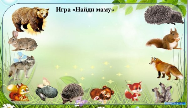 Лесные животные для дошкольников