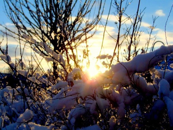 Март природа солнце