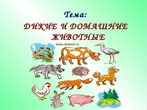 Лес весной для дошкольников