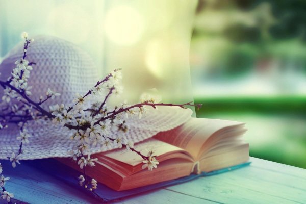 Букет цветов и книга