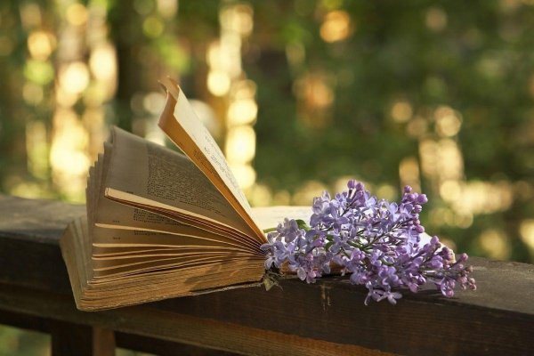 Книга на весеннем фоне