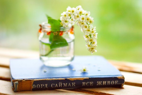 Книга природа