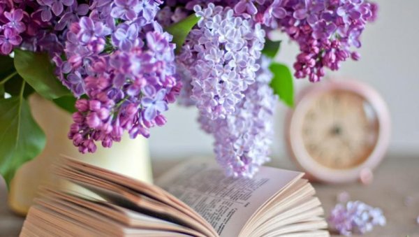 Книги о весне