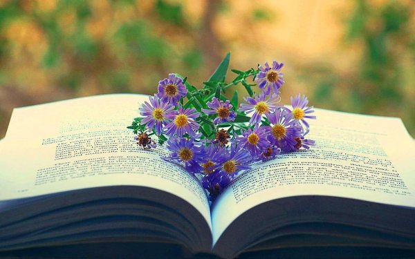 Обои на рабочий стол книги