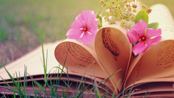 Лето с книжкой