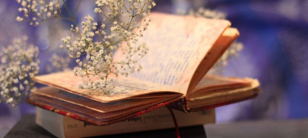 Лето с книгой