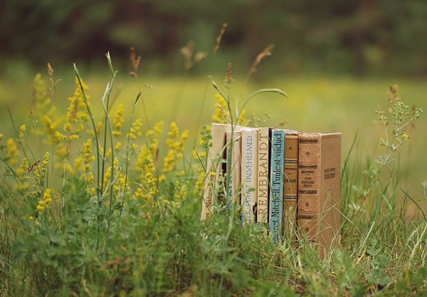 Книги о весне