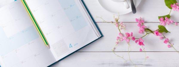 Утро с книгой