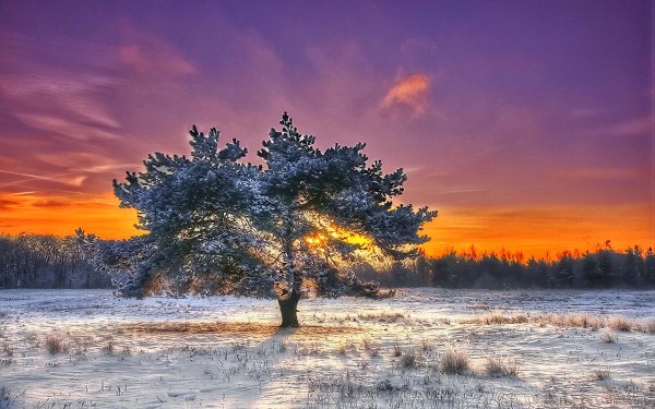 Пейзаж закат