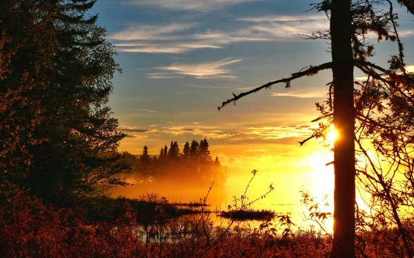 Зимний пейзаж