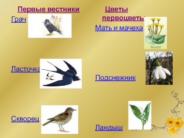 Скребицкий Грачи прилетели