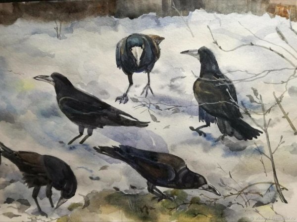 Весенний прилет Скворцов