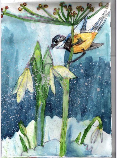 Грач зимующая птица