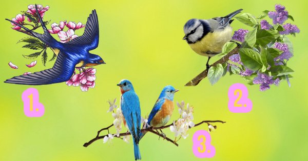 Птицы вестники весны