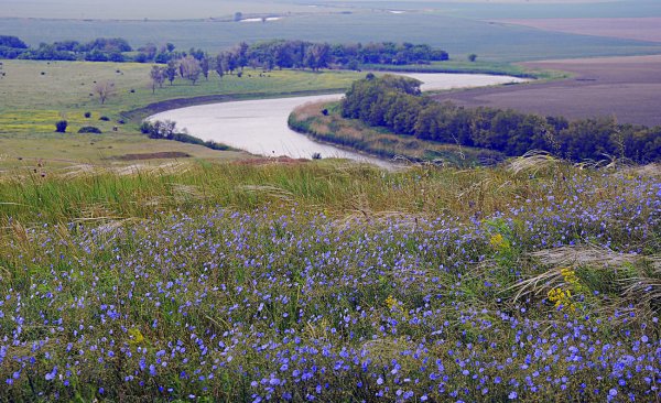 Екатеринодар казаки