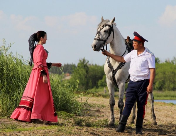 Донские казаки на конях