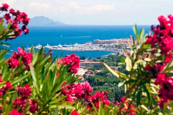 Цветущий Сочи