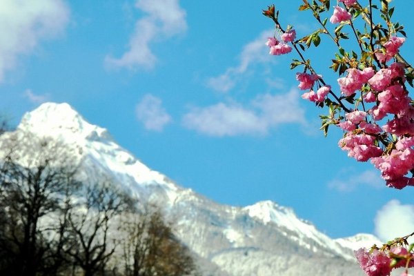 Весна в Сочи