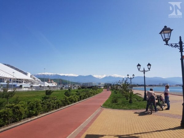 Магнолия Адлер