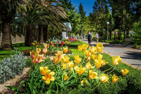 Сочи весной