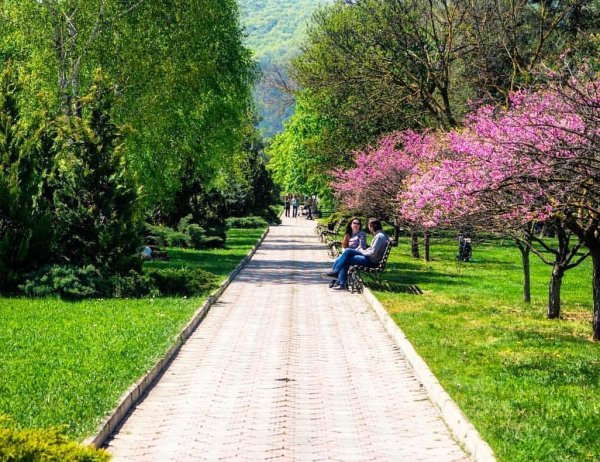 Черешневый сад Сочи