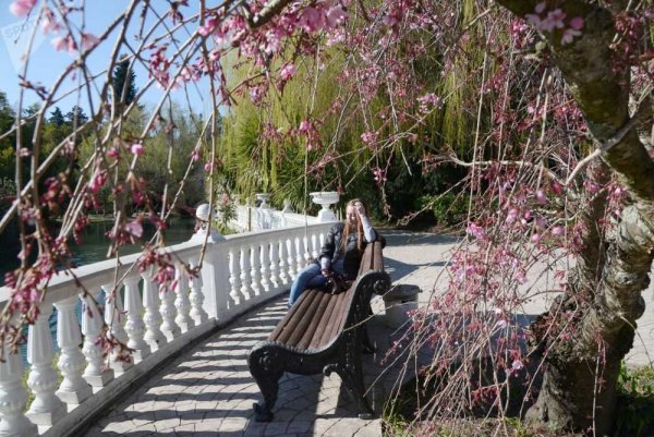 Цветущий Сочи