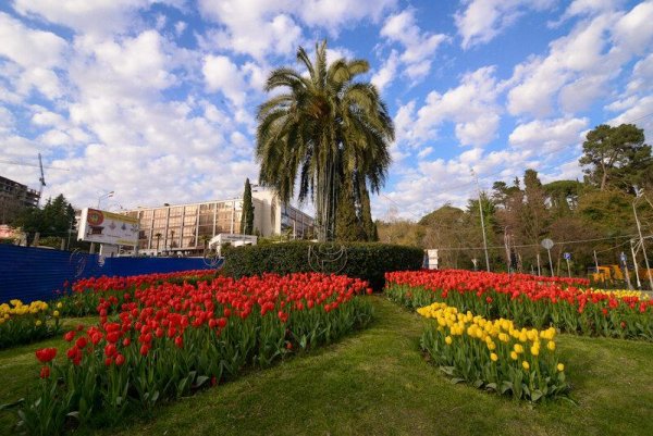 Сочи весной