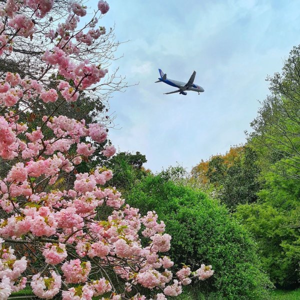 Конкурс Весна в сочинском национальном парке работы участников