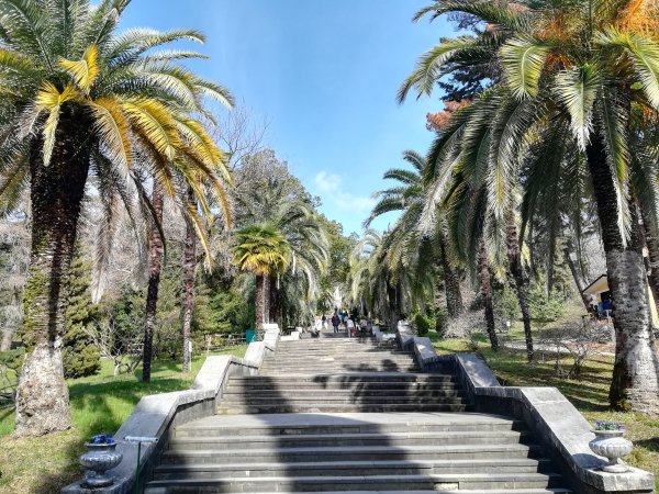 Абхазия весной