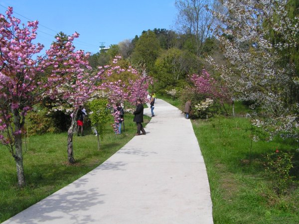 Сочи Адлер в апреле