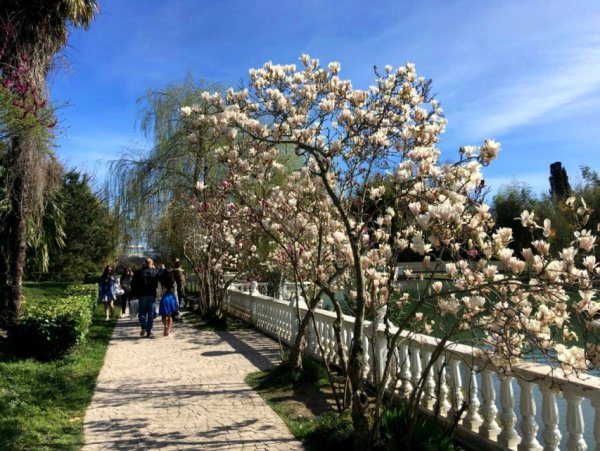 Сочи весной море