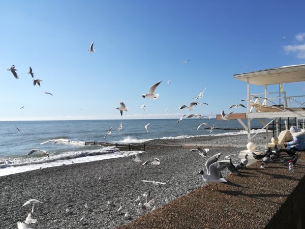 Весна курорт