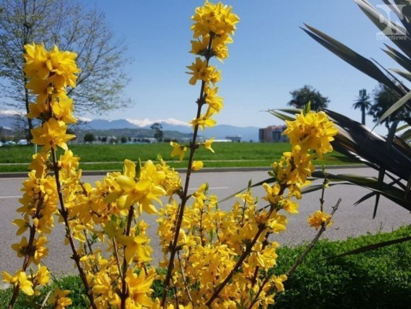 Сочи в конце апреля