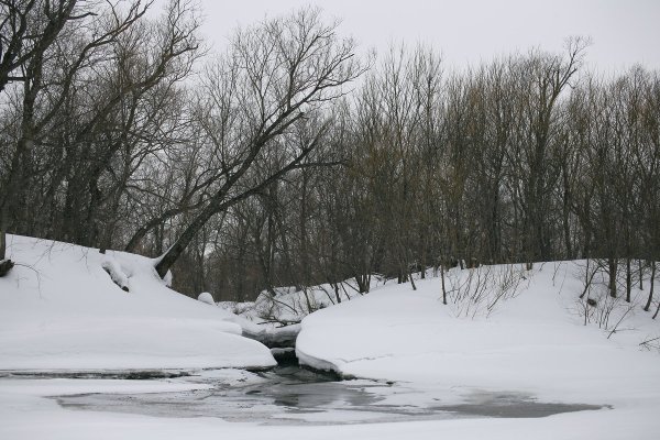 Весна на Сахалине