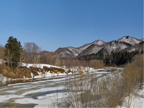 Природа Сахалина Весна