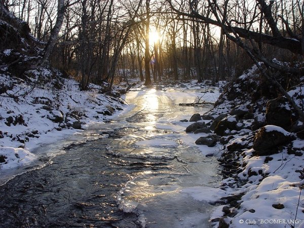 Природа Сахалина Весна