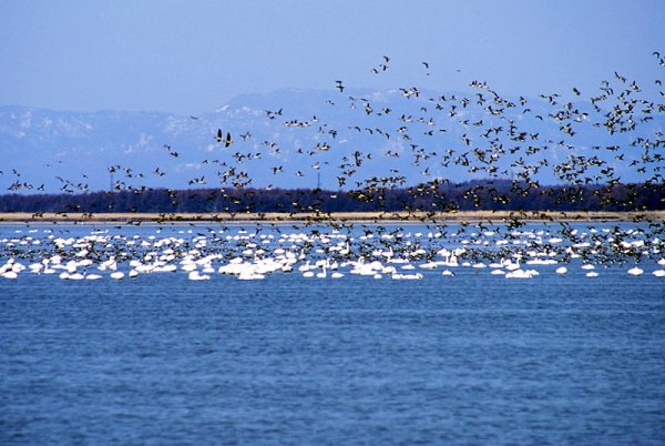 Сахалин весной