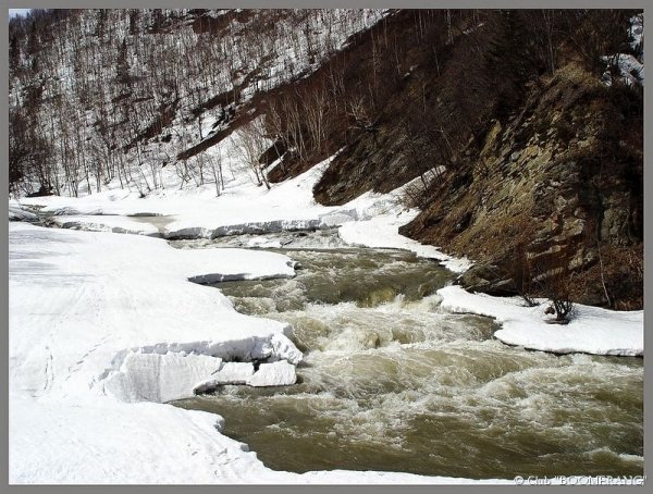 Весна на Сахалине картинки