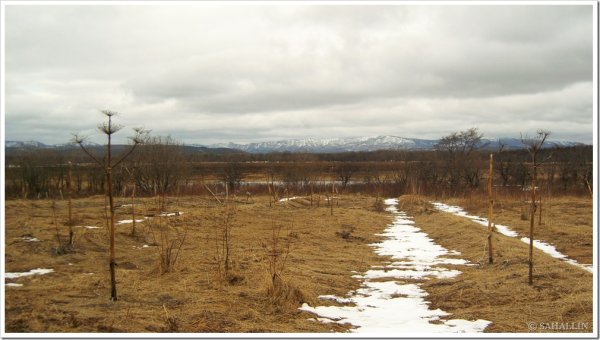 Сахалин весной