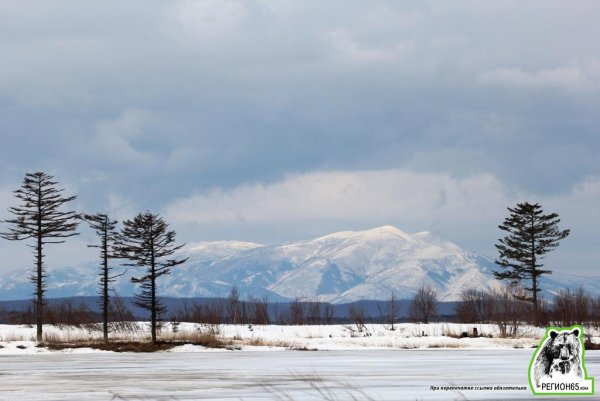 Сахалинская природа Весна