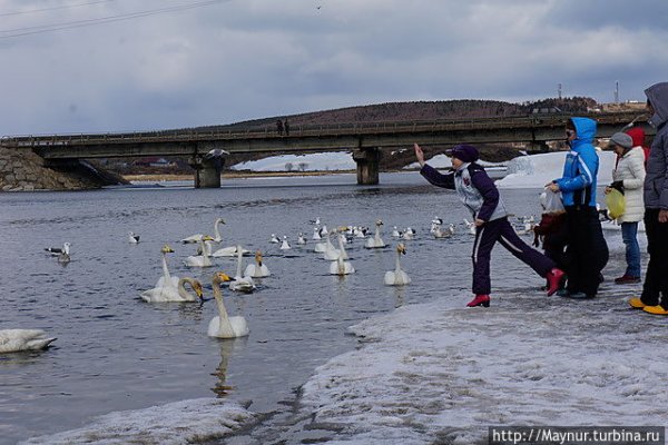 Море весной