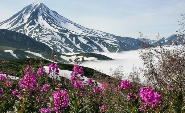 Весна на Сахалине картинки