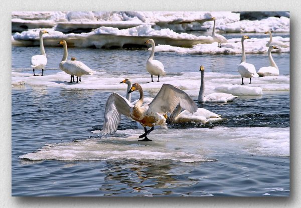 Дагинские термальные источники