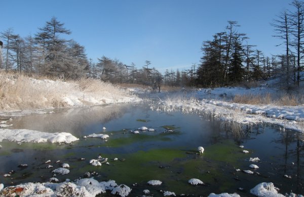 Буссе Сахалин