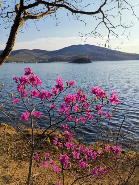 Сахалин природа и климат