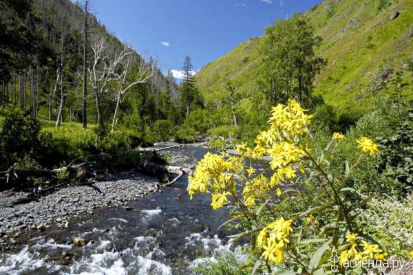 Мыс Бурунный Сахалин